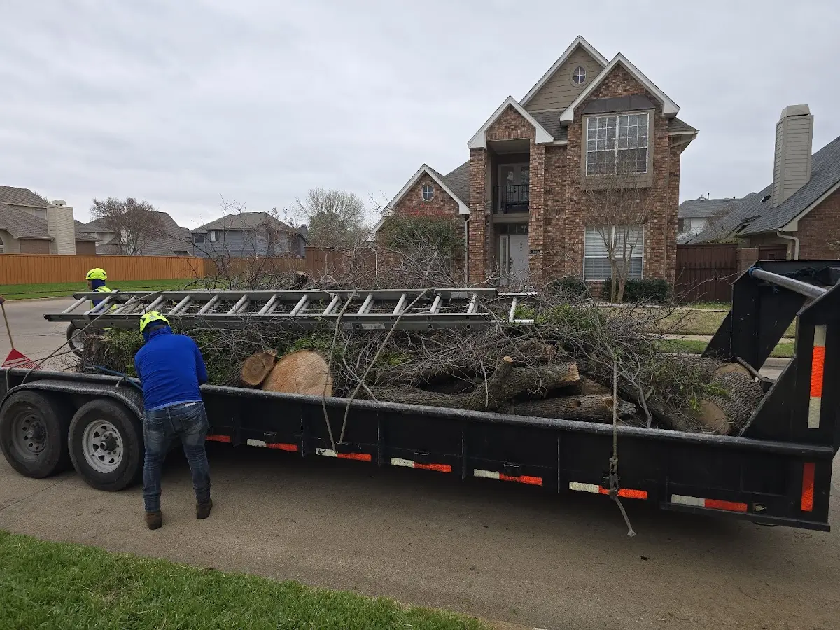 Expert Tree Pest Control with proper safety equipment in Glendora